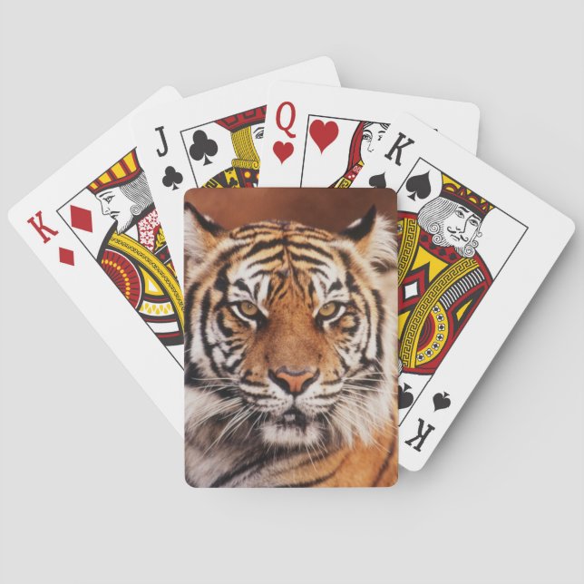 Sumatra-Tiger Spielkarten (Rückseite)