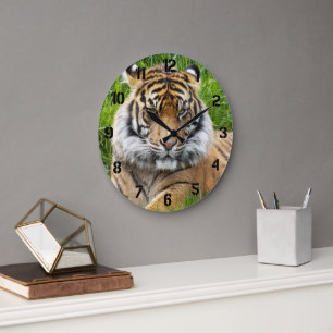 Sumatra-Tiger-Wildlife-Foto Große Wanduhr