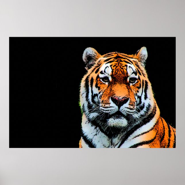 Sumatran Borneo Tiger Poster (Vorne)