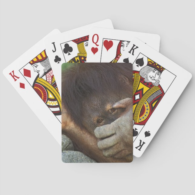 Sumatran Orangutan Pongo pygmaeus Spielkarten (Rückseite)