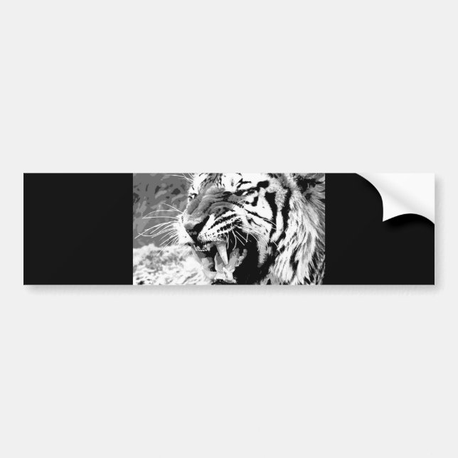 Sumatran Tiger Autoaufkleber (Vorne)