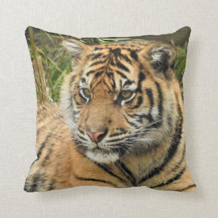 Sumatran Tiger Cub Kissen