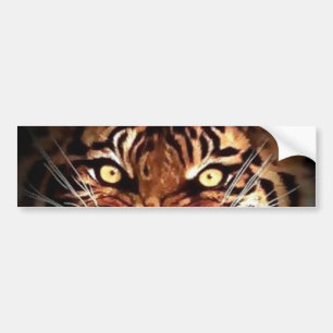 Sumatran Tiger Eyes Car Autoaufkleber
