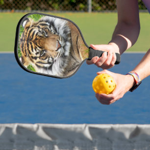 Sumatran Tiger Foto Pickleball Schläger