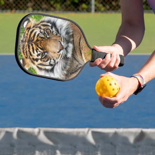 Sumatran Tiger Foto Pickleball Schläger (InSitu)