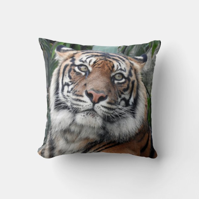 Sumatran Tiger Kissen (Vorderseite)
