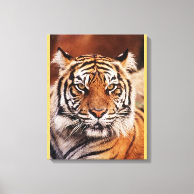 Sumatran Tiger Leinwanddruck (Vorderseite)