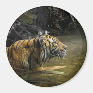 Sumatran Tiger LIGHT THE TIGER Magnet