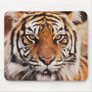 Sumatran Tiger Mousepad