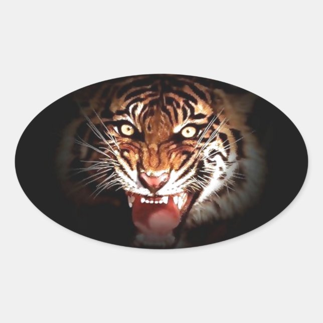 Sumatran Tiger Ovaler Aufkleber (Vorderseite)