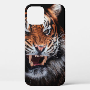Sumatran tiger (Panthera tigris sumatrae) beautifu Case-Mate iPhone Hülle