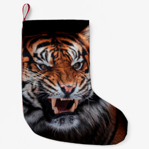 Sumatran tiger (Panthera tigris sumatrae) beautifu Kleiner Weihnachtsstrumpf