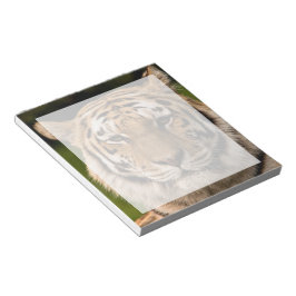 Sumatran Tiger Portrait Notizblock