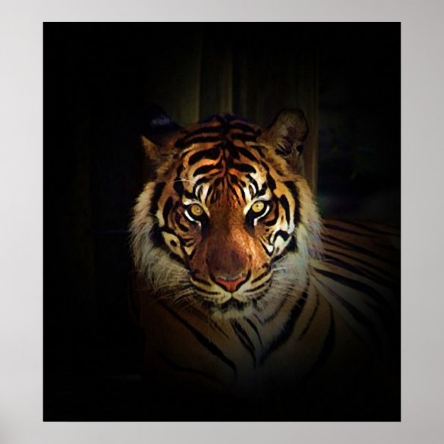 Sumatran Tiger Poster Print (Vorne)
