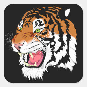 Sumatran Tiger Quadratischer Aufkleber