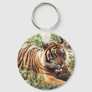 Sumatran Tiger Schlüsselanhänger