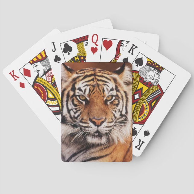 Sumatran Tiger Spielkarten (Rückseite)