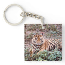 Sumatran tiger Square (beidseitig) Schlüsselanhäng