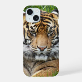 Sumatran Tiger Wildlife Foto iPhone 16 Hülle