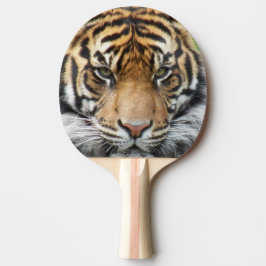 Sumatran Tiger Wildlife Foto Tischtennis Schläger