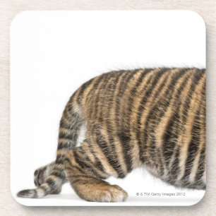 Sumatran Tigerjunges 2 Untersetzer