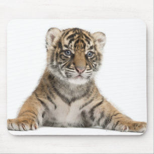 Sumatran Tigerjunges - der Pantheratigris sumatrae Mousepad