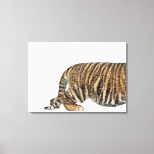 Sumatran Tigerjunges Leinwanddruck