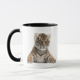 Sumatran Tigerjunges Tasse