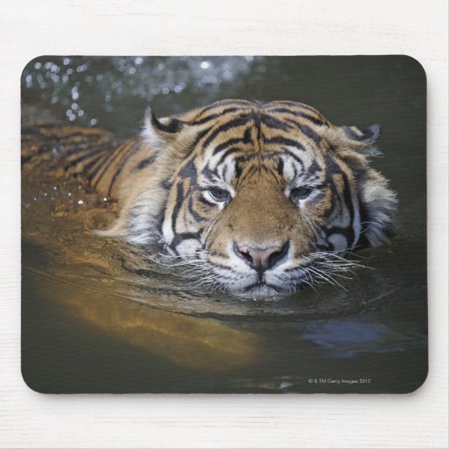 Sumatrantiger, Panthera tigris sumatrae Mousepad (Vorne)