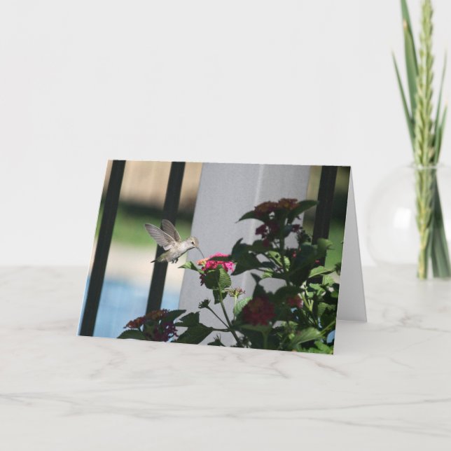 Summenvogel, leere Karte (Vorderseite)