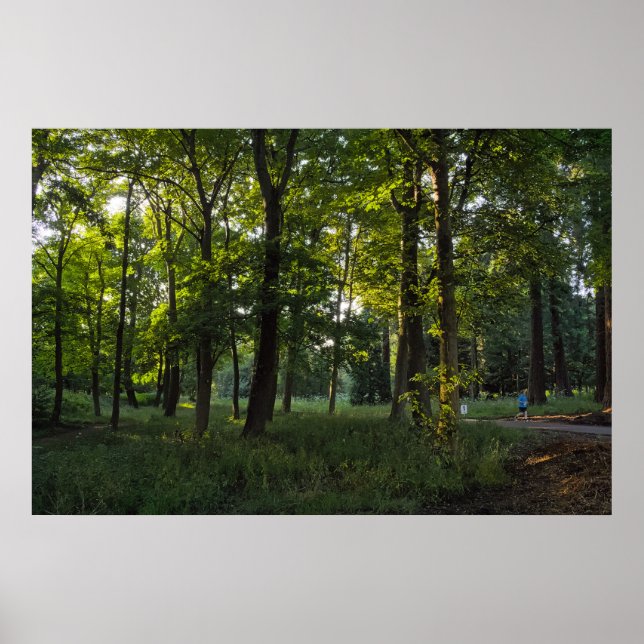 Summer Abend, Bute Park, Cardiff Poster (Vorne)