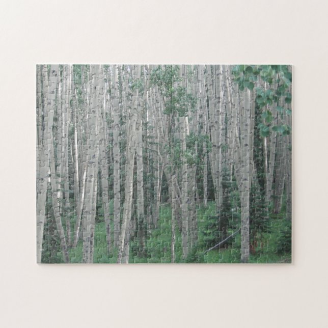 Summer Aspen Grove - Puzzle (Horizontal)