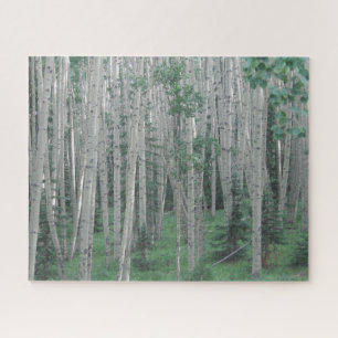 Summer Aspen Trees - 16x20 - 520 pcs Jigsaw Puzzle