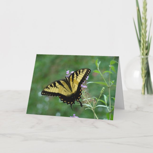 Summer Beauty Karte (Vorderseite)