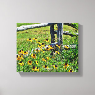 Summer Blue Ridge Parkway USA Wildblume Foto Leinwanddruck