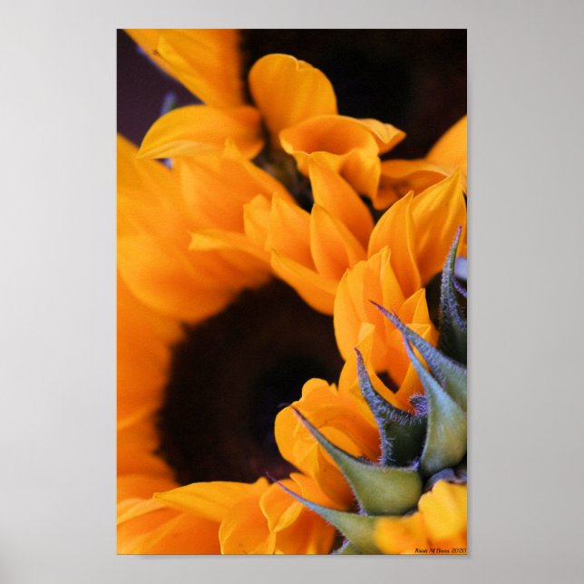 Summer Bright Sunflower Poster (Vorne)