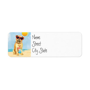Summer Brussels Griffon