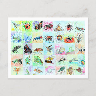 Summer Buggin Collection Postkarte