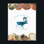 Summer Christmas Beach Seashell Reindeer Feiertagspostkarte<br><div class="desc">Ein einzigartiges Sommer Weihnachtsdesign mit Strandwellen für die Fülle der Rentier und Seashells als Grenze. Ideal für Weihnachtsgeschenke und Dekoration. Passen Sie die Weihnachtspostkarte mit Ihrem Text an und machen Sie es zu Ihrem eigenen.</div>