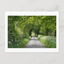 Summer Country Road: Cheshire Postcard Postkarte