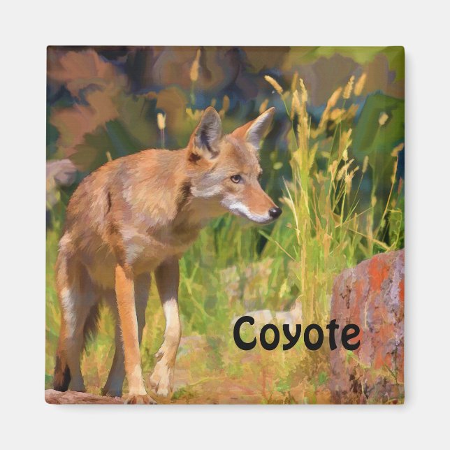 Summer Coyote Wildlife Painting Magnet (Vorne)