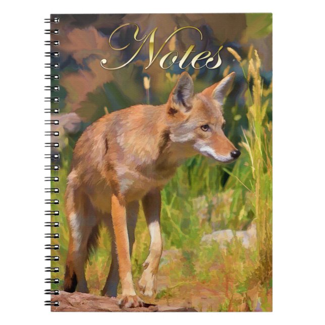 Summer Coyote Wildlife Painting Notizblock (Vorderseite)