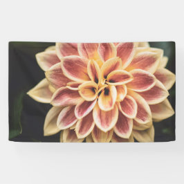 Summer Dahlia Blume (Floral Art) Banner