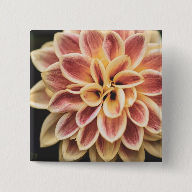 Summer Dahlia Blume (Floral Art) Button (Vorderseite)