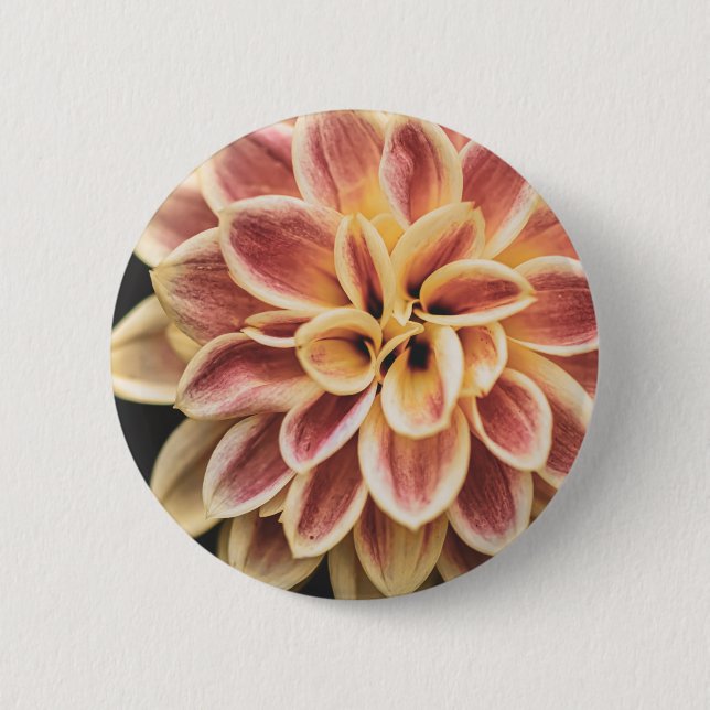 Summer Dahlia Blume (Floral Art) Button (Vorderseite)
