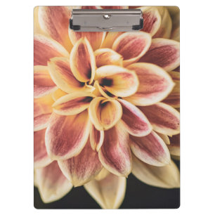 Summer Dahlia Blume (Floral Art) Klemmbrett