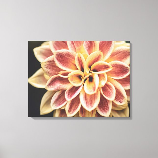 Summer Dahlia Blume (Floral Art) Leinwanddruck (Vorderseite)