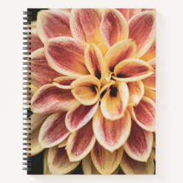 Summer Dahlia Blume (Floral Art) Notizbuch
