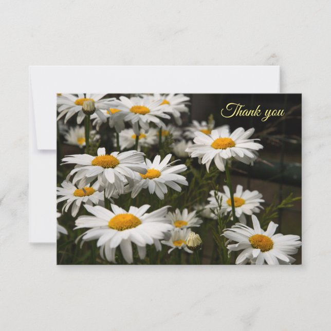Summer Daisy Flat Danke-Card Dankeskarte (Vorderseite)