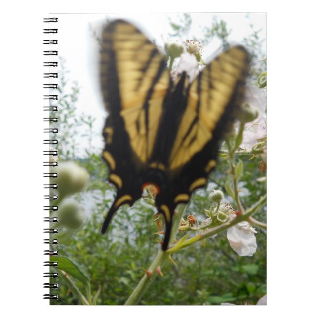 Summer Flight Notebook Notizblock (Vorderseite)